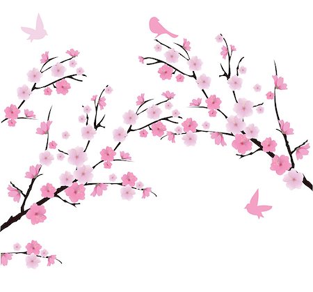 simsearch:400-04882926,k - vector cherry blossom branches with birds Stock Photo - Budget Royalty-Free & Subscription, Code: 400-08033988