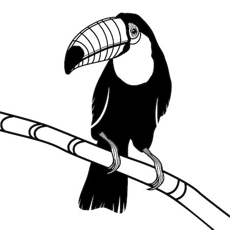 simsearch:400-08410665,k - Toucan bird head vector illustration for t-shirt. Sketch tattoo design. Photographie de stock - Aubaine LD & Abonnement, Code: 400-08050987