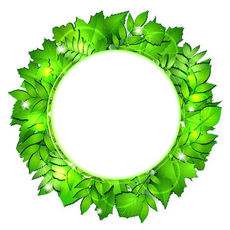 simsearch:400-05698489,k - Fresh green leaves round border. Vector illustration Stock Photo - Budget Royalty-Free & Subscription, Code: 400-08075937