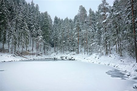 An image of the Eibsee at winter Stock Photo - Budget Royalty-Free & Subscription, Code: 400-08070937