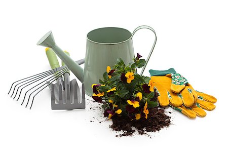 simsearch:400-05297250,k - Watering can, flowers, protective gloves and equipment for gardening. Isolated on white background. Stock Photo - Budget Royalty-Free & Subscription, Code: 400-08071371