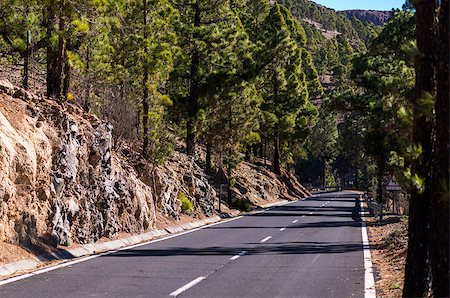 Road to Teide volcano. Tenerife, Canary Islands. Spain Stock Photo - Budget Royalty-Free & Subscription, Code: 400-08072313