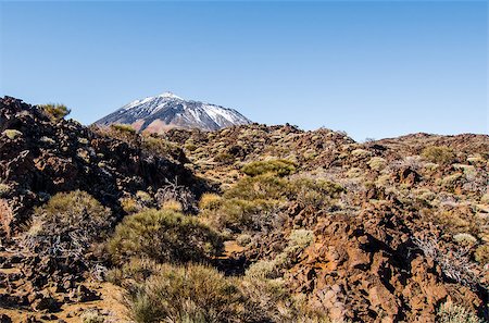 Scenic view of volcano Teide, Tenerife. Canary Islands Stock Photo - Budget Royalty-Free & Subscription, Code: 400-08072328
