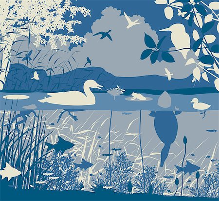 EPS8 editable vector illustration of diverse wildlife in a freshwater ecosystem with all figures as separate objects Stock Photo - Budget Royalty-Free & Subscription, Code: 400-08094886
