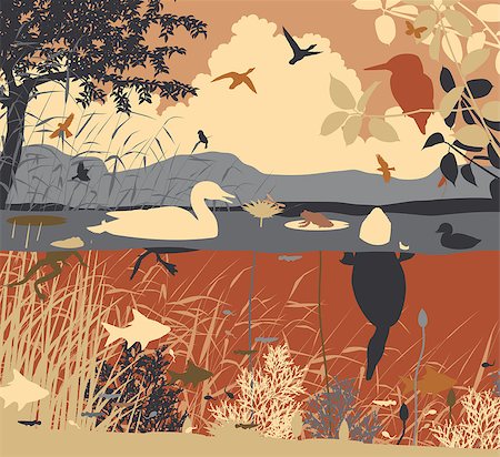 EPS8 editable vector illustration of diverse wildlife in a freshwater ecosystem with all figures as separate objects Stock Photo - Budget Royalty-Free & Subscription, Code: 400-08098658