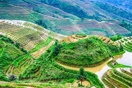 Yaoshan Mountain, Guilin, China hillside rice terraces landscape. Stock Photo - Budget Royalty-Free & Subscription, Code: 400-08114027