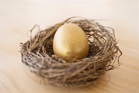 Golden Egg in a Nest. Conceptual image. Golden investment, nest egg for the future. Stock Photo - Budget Royalty-Free & Subscription, Code: 400-08110570