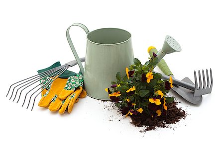 simsearch:400-05297250,k - Watering can, flowers, protective gloves and equipment for gardening. Isolated on white background. Stock Photo - Budget Royalty-Free & Subscription, Code: 400-08110677