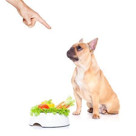 simsearch:400-05106591,k - french bulldog dog  with  healthy  vegan food bowl, isolated on white background, owner pointing out Stock Photo - Budget Royalty-Free & Subscription, Code: 400-08111315