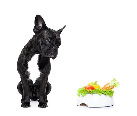 simsearch:400-05106591,k - french bulldog dog  with  healthy  vegan food bowl, isolated on white background Stock Photo - Budget Royalty-Free & Subscription, Code: 400-08111320