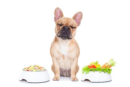 simsearch:400-05106591,k - french bulldog  dog has the choice between right healthy  and wrong unhealthy  food, isolated on white background Stock Photo - Budget Royalty-Free & Subscription, Code: 400-08111322