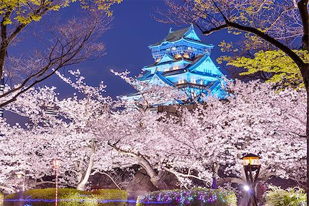 simsearch:400-05044143,k - Osaka, Japan at Osaka, Castle with cherry blossoms. Stock Photo - Budget Royalty-Free & Subscription, Code: 400-08111841
