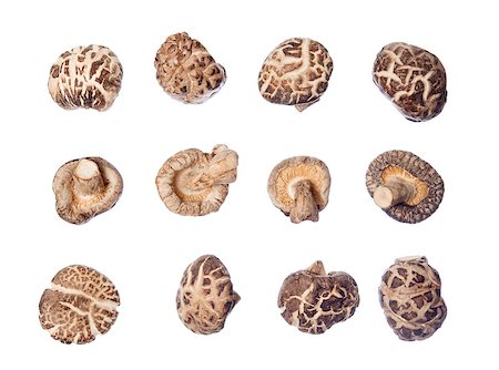 simsearch:400-04824992,k - Group of dried shiitake mushrooms isolated on white background. Stock Photo - Budget Royalty-Free & Subscription, Code: 400-08112267