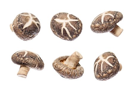 simsearch:400-04824992,k - Dried shiitake mushrooms in different angle isolated on white background. Stock Photo - Budget Royalty-Free & Subscription, Code: 400-08112269