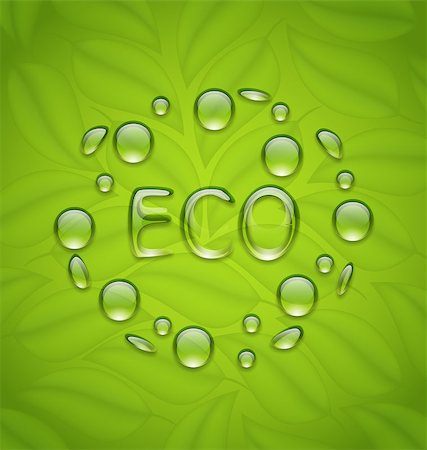 simsearch:400-05363406,k - Illustration eco friendly background with water drops on fresh green leaves texture - vector Stock Photo - Budget Royalty-Free & Subscription, Code: 400-08113329