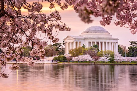 Washington, DC at the Tidal Basin and Jefferson Memorial during spring. Stock Photo - Budget Royalty-Free & Subscription, Code: 400-08113996