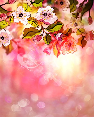 Colorful illustration of blooming sakura branches, soft pink background. Stock Photo - Budget Royalty-Free & Subscription, Code: 400-08132652