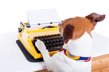 simsearch:400-08164465,k - jack russell secretary dog typing on a typewriter keyboard ,isolated on white background Stock Photo - Budget Royalty-Free & Subscription, Code: 400-08155063