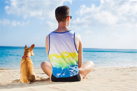 dog and owner sitting close together at the beach on summer vacation holidays, watching sunset or sunrise Stock Photo - Budget Royalty-Free & Subscription, Code: 400-08158237