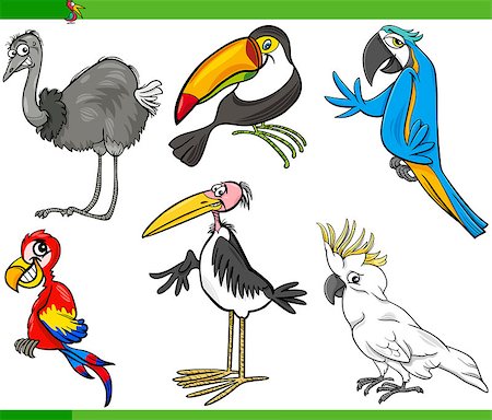 simsearch:400-08410665,k - Cartoon Illustration of Funny Exotic Birds Set Photographie de stock - Aubaine LD & Abonnement, Code: 400-08160256