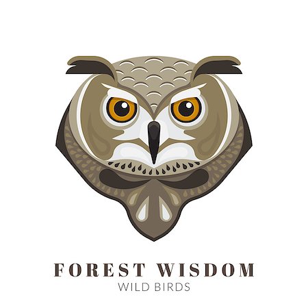 simsearch:400-07745600,k - Graphic design of wise owl head. Text outlined Stock Photo - Budget Royalty-Free & Subscription, Code: 400-08161779
