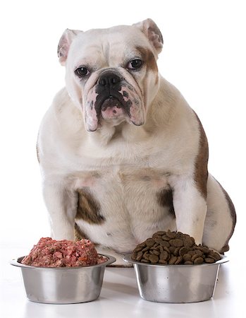 piles of bones - feeding your pet - concept of choosing between raw and kibble Stock Photo - Budget Royalty-Free & Subscription, Code: 400-08186142