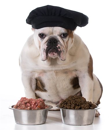 piles of bones - feeding your pet - concept of choosing between raw and kibble Stock Photo - Budget Royalty-Free & Subscription, Code: 400-08186143