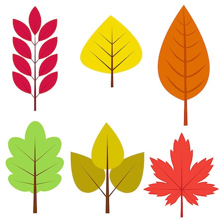 simsearch:400-05256623,k - Autumn leaves vector illustration Photographie de stock - Aubaine LD & Abonnement, Code: 400-08197663