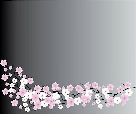 simsearch:400-04882926,k - vector illustration of a cherry blossom background Stock Photo - Budget Royalty-Free & Subscription, Code: 400-08190140