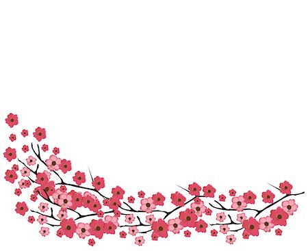 simsearch:400-04882926,k - vector illustration of a cherry blossom background Stock Photo - Budget Royalty-Free & Subscription, Code: 400-08190141