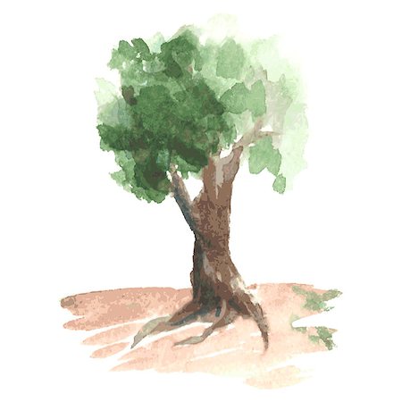 simsearch:400-05698489,k - Romantic watercolor tree with green foliage on clumsy brown trunk, rural tree like apple-tree, sketch drawn by watercolour Stock Photo - Budget Royalty-Free & Subscription, Code: 400-08259776