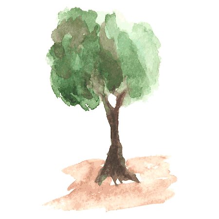 simsearch:400-05698489,k - Airy watercolor tree with green foliage which flutters on a wind on clumsy brown trunk, rural tree like apple-tree, sketch drawn by watercolour Stock Photo - Budget Royalty-Free & Subscription, Code: 400-08259777