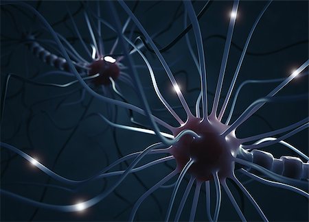 simsearch:400-05692484,k - Interconnected neurons transferring information with electrical pulses. Stock Photo - Budget Royalty-Free & Subscription, Code: 400-08250676