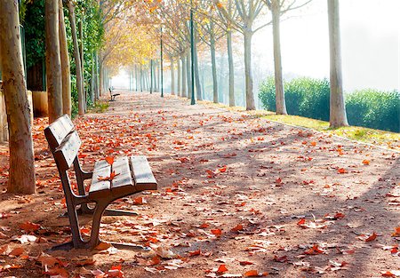 Park bench on fall in orange toned Photographie de stock - Aubaine LD & Abonnement, Code: 400-08285265