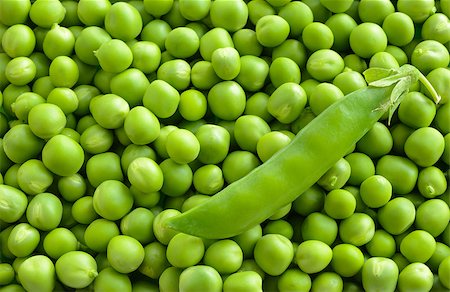 simsearch:400-05744520,k - One Close Pea Pod on the Fresh Sweet Green Pea Ceeds. Healthy Eating Background Stock Photo - Budget Royalty-Free & Subscription, Code: 400-08282711