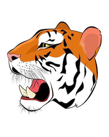 simsearch:400-05250521,k - Vector illustration of a tiger head on white Stock Photo - Budget Royalty-Free & Subscription, Code: 400-08294866