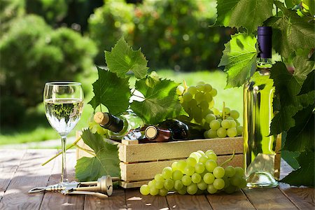 simsearch:846-05647552,k - White and red wine bottle, glass, vine and bunch of grapes on garden table Stock Photo - Budget Royalty-Free & Subscription, Code: 400-08295801