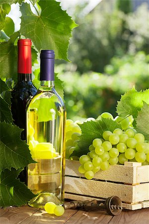 simsearch:846-05647552,k - White and red wine bottle, glass, vine and bunch of grapes on garden table Stock Photo - Budget Royalty-Free & Subscription, Code: 400-08298073