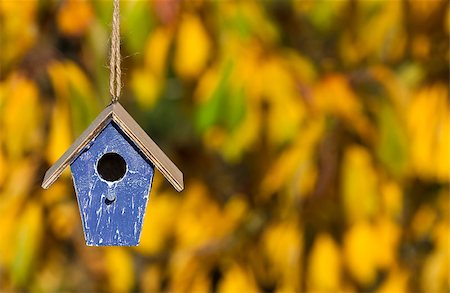 A bird house or bird box in Autumn or Fall sunshine with natural golden leaves background Stock Photo - Budget Royalty-Free & Subscription, Code: 400-08298185