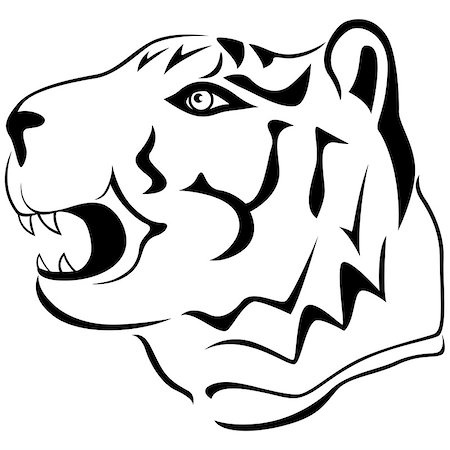 Adult tiger head profile, hand drawing cartoon vector outline isolated on a white background Stock Photo - Budget Royalty-Free & Subscription, Code: 400-08298784