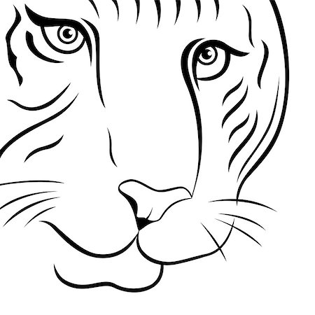 Part of funny tiger face, hand drawing vector outline isolated on a white background Stock Photo - Budget Royalty-Free & Subscription, Code: 400-08298785