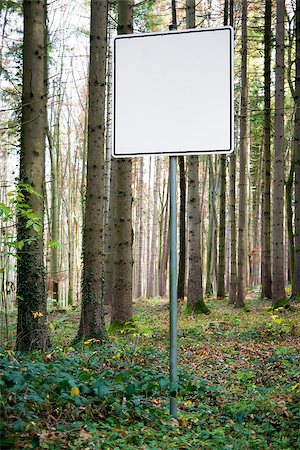 simsearch:400-04229535,k - Image of empty white sign with free space in forest Photographie de stock - Aubaine LD & Abonnement, Code: 400-08299823