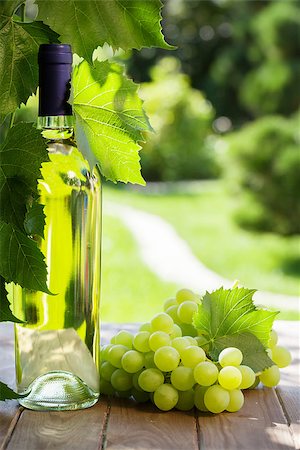 simsearch:846-05647552,k - White wine bottle, vine and bunch of grapes on garden table Stock Photo - Budget Royalty-Free & Subscription, Code: 400-08291394