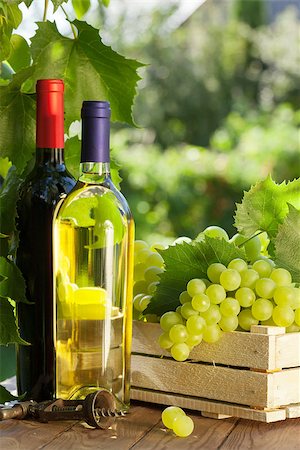 simsearch:846-05647552,k - White and red wine bottles, vine and bunch of grapes on garden table Stock Photo - Budget Royalty-Free & Subscription, Code: 400-08291397
