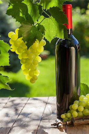 simsearch:846-05647552,k - Red wine bottle, vine and bunch of grapes on garden table Stock Photo - Budget Royalty-Free & Subscription, Code: 400-08291401