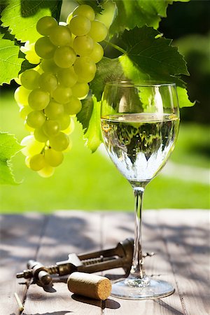 simsearch:846-05647552,k - White wine glass and white grape vine on garden table Stock Photo - Budget Royalty-Free & Subscription, Code: 400-08293344