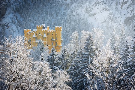 schwangau - Hohenschwangau Castle in wintery landscape, Germany Stock Photo - Budget Royalty-Free & Subscription, Code: 400-08293593