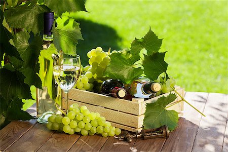 simsearch:846-05647552,k - White and red wine bottle, glass, vine and bunch of grapes on garden table Stock Photo - Budget Royalty-Free & Subscription, Code: 400-08300747