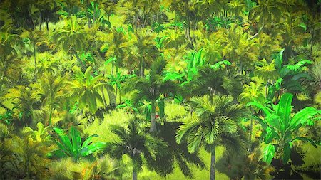 simsearch:400-04701752,k - Lush vegetation in the jungle Photographie de stock - Aubaine LD & Abonnement, Code: 400-08301203