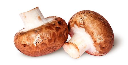 simsearch:400-04824992,k - Two fresh brown mushroom beside isolated on white background Stock Photo - Budget Royalty-Free & Subscription, Code: 400-08301489